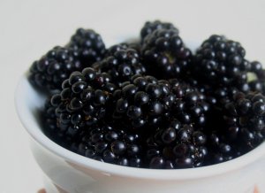 blackberries.jpg?w=300&h=218